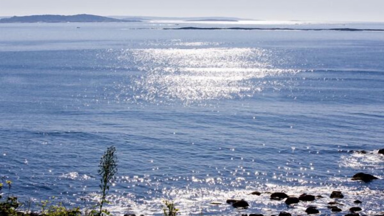 Photo of Outdoor in Bailey Island