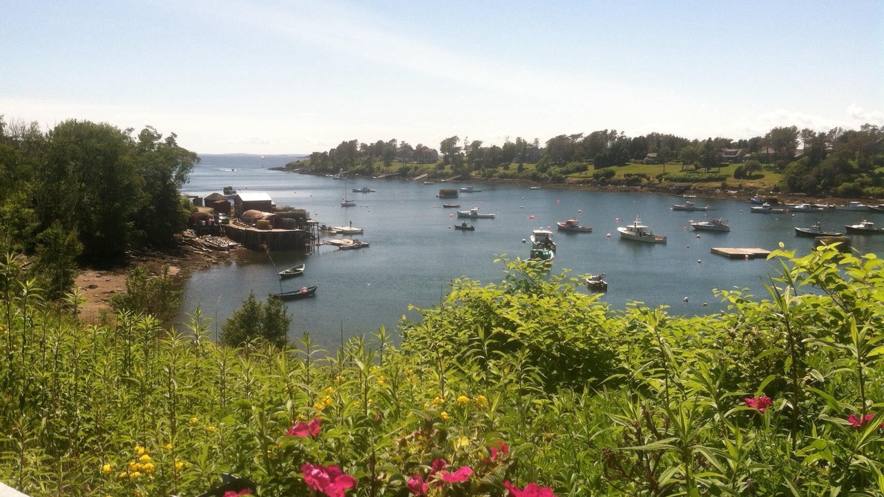 Photo of Others in Bailey Island
