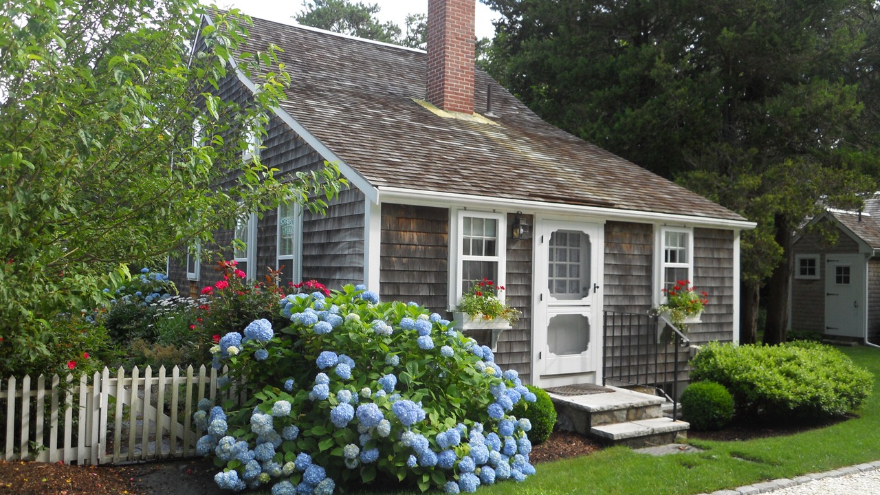 Photo of Outdoor in West Brewster