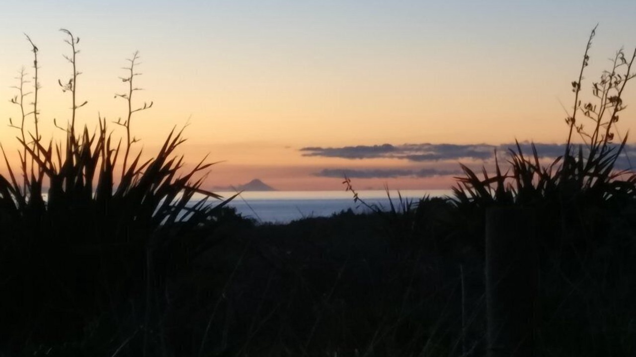 Photo of Others in Waitarere Beach