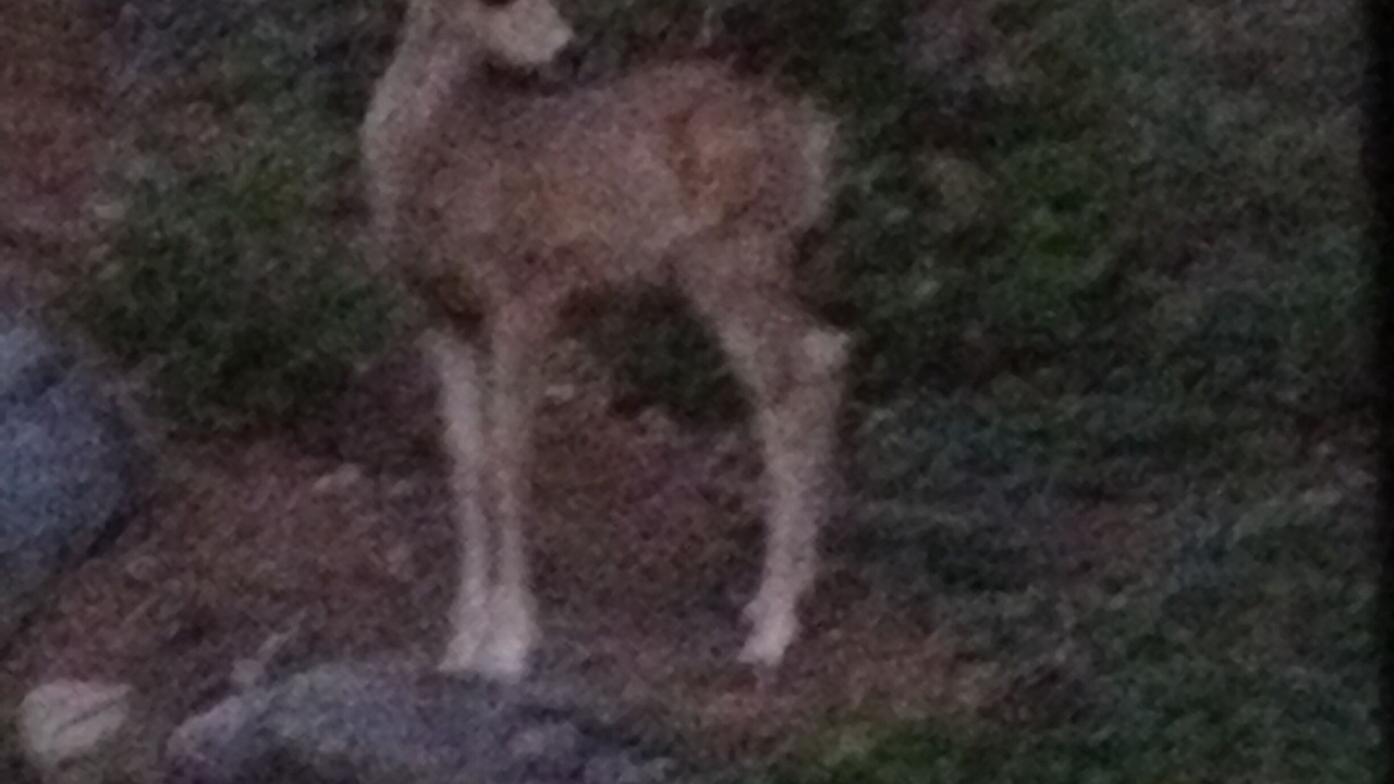 Photo of Outdoor in Brockway
