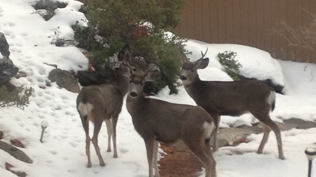 Photo of Outdoor in Brockway