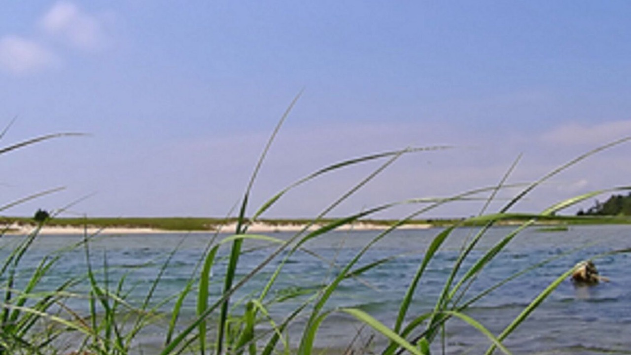 Photo of Others in West Hyannisport