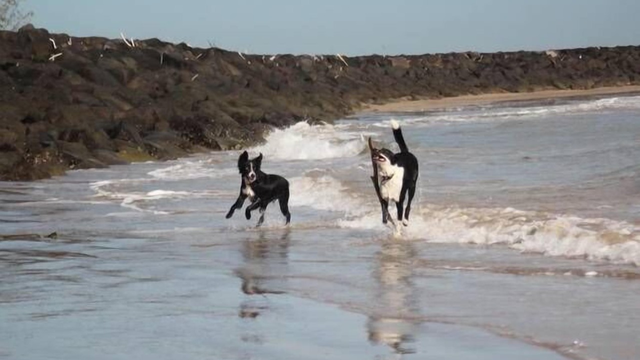 Photo of Others in Burnett Heads