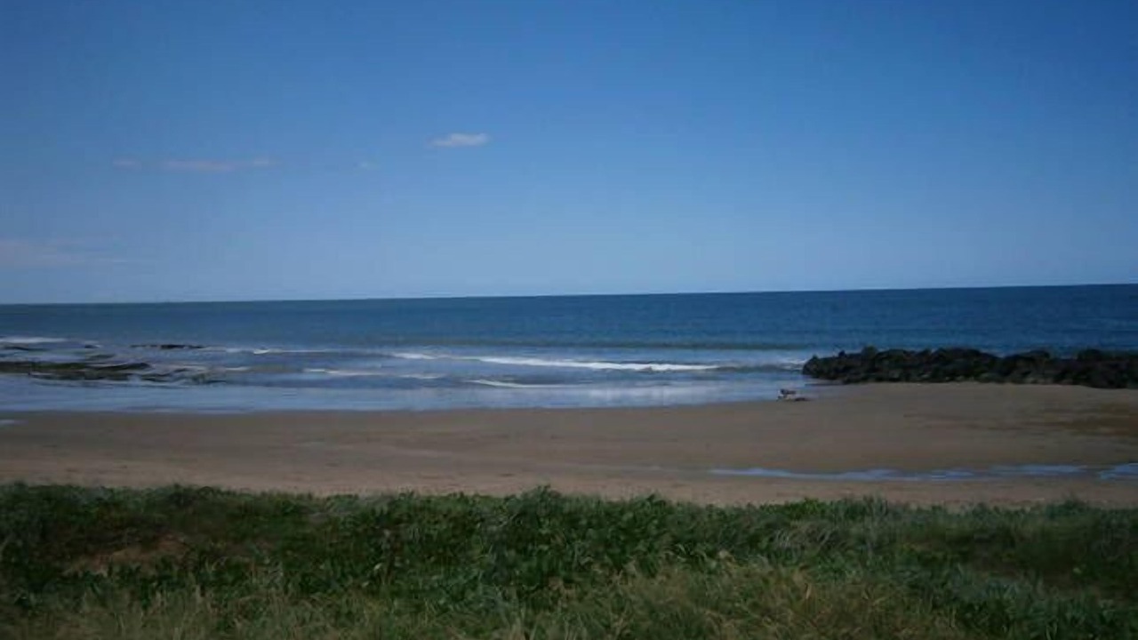 Photo of Others in Burnett Heads