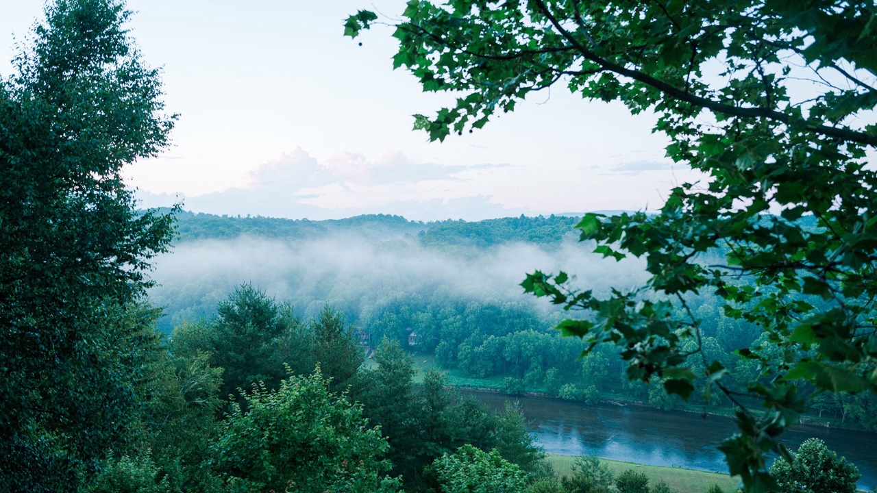 Photo of Others in Piney Creek