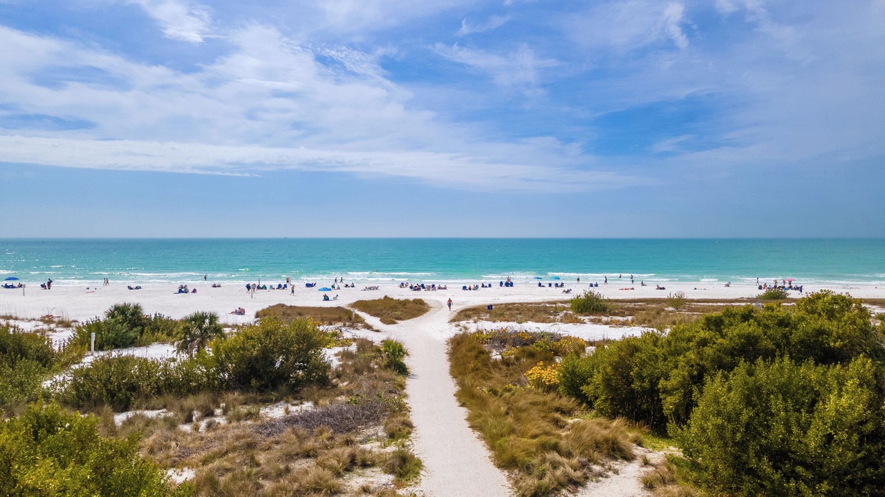 Photo of Others in Siesta Key