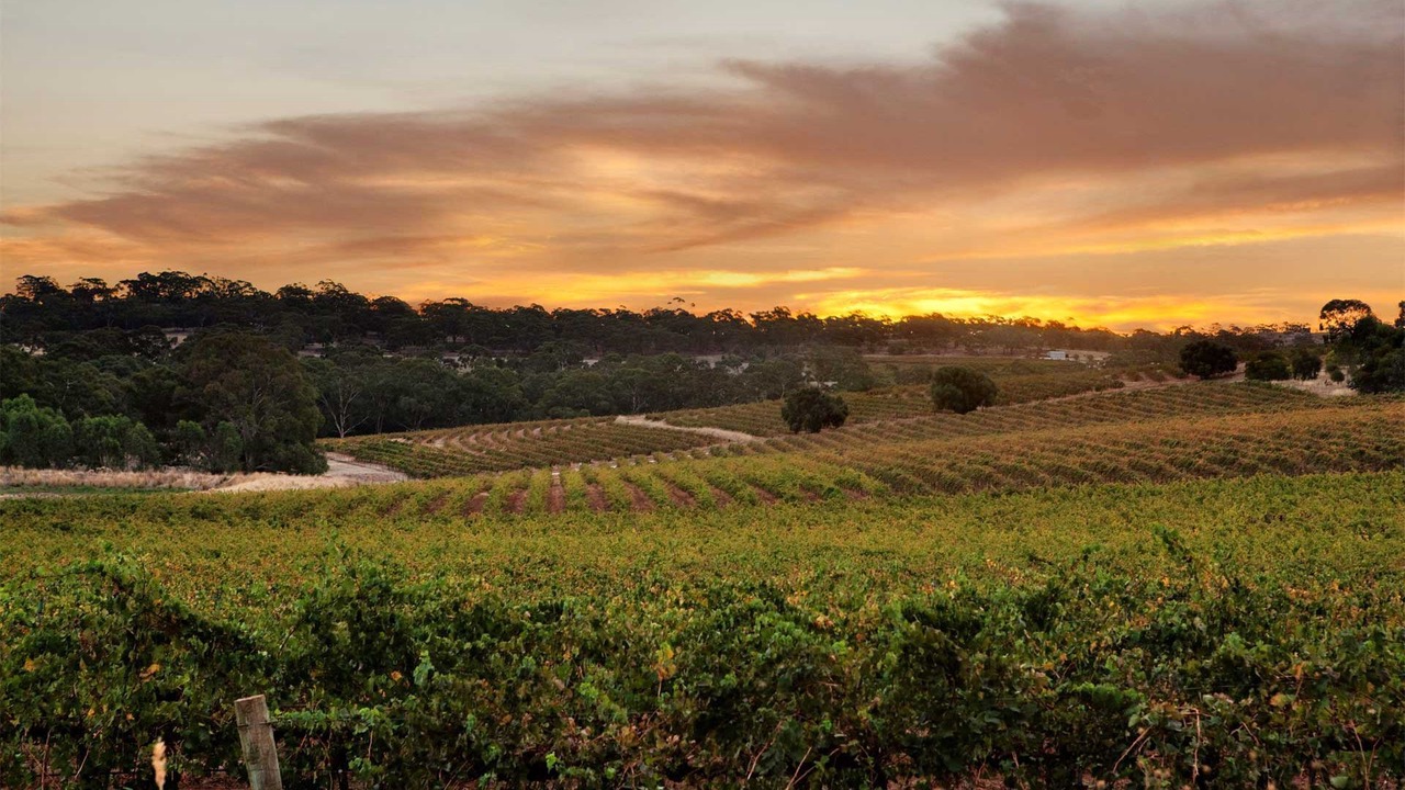 Photo of Outdoor in Clare