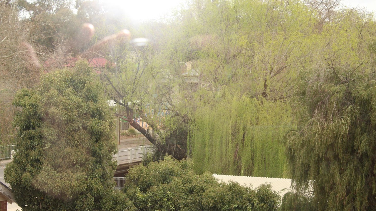 Photo of Outdoor in Clare