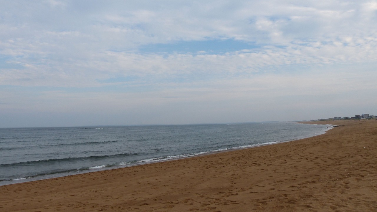 Photo of Others in Newburyport