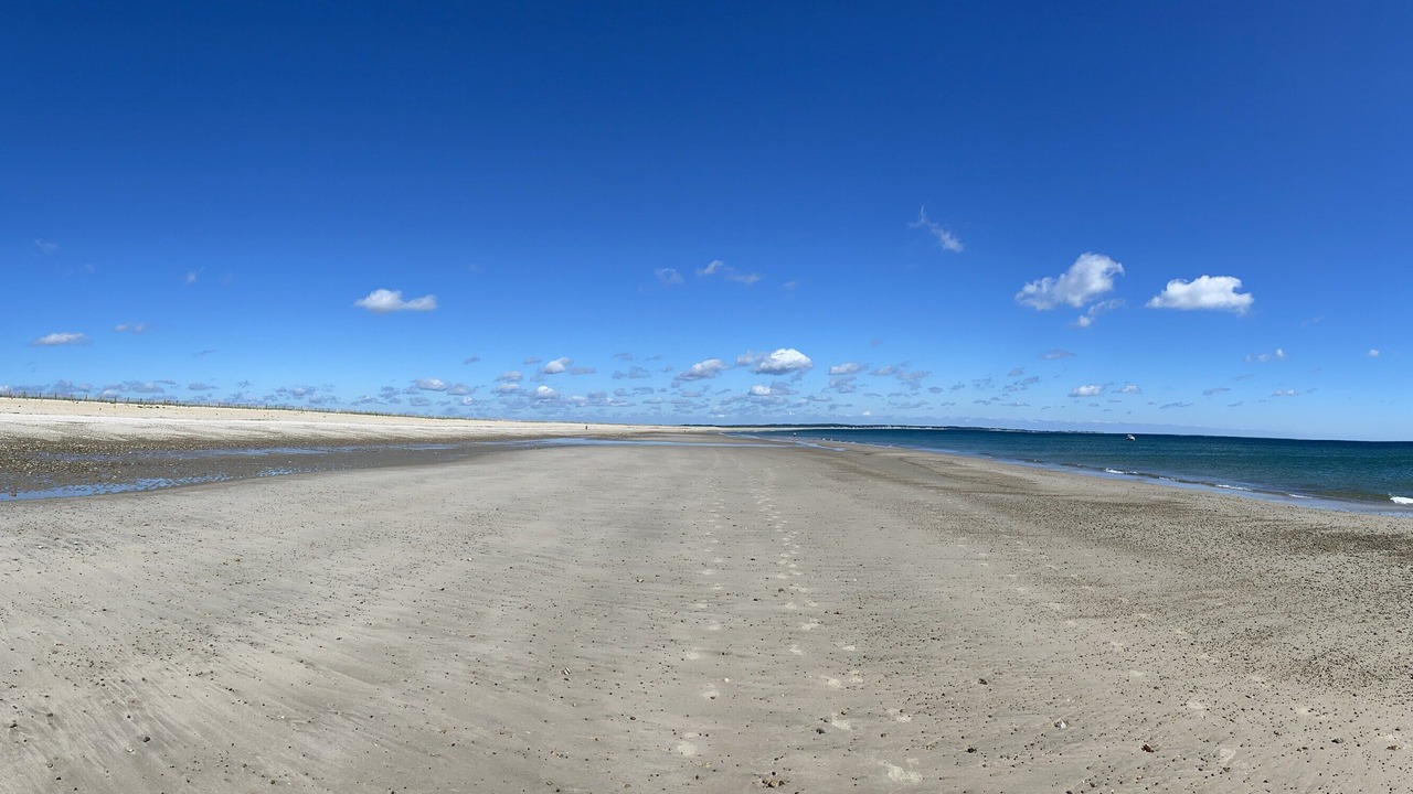 Photo of Others in Plymouth