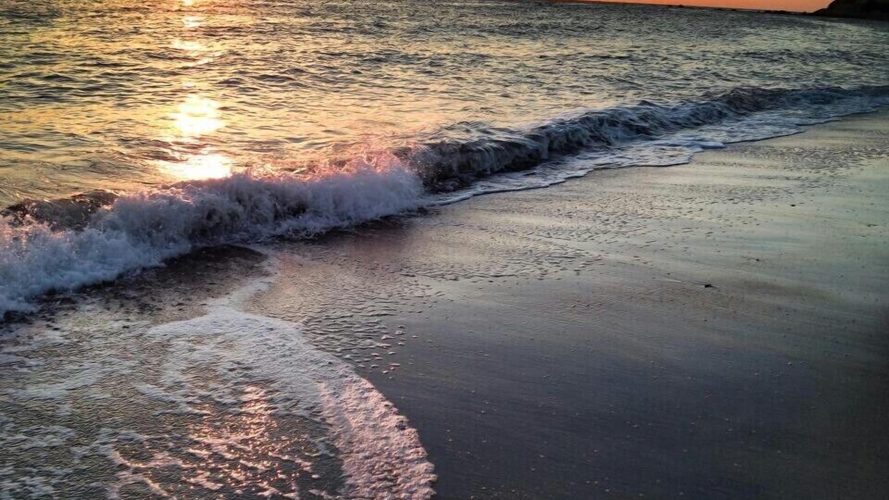 Photo of Others in Plymouth