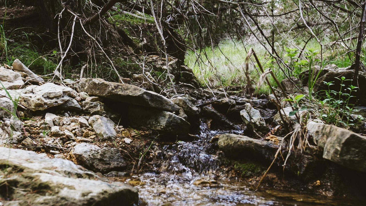 Photo of Outdoor in Dripping Springs