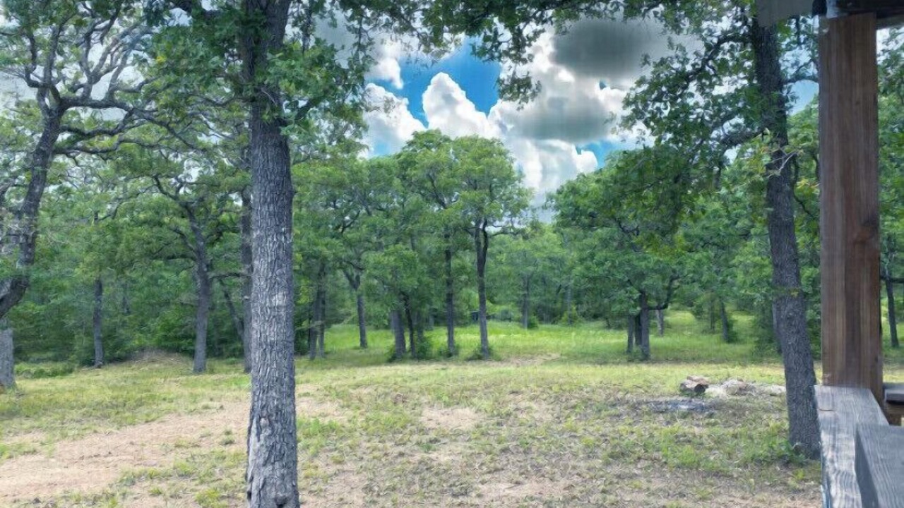 Photo of Outdoor in Ledbetter