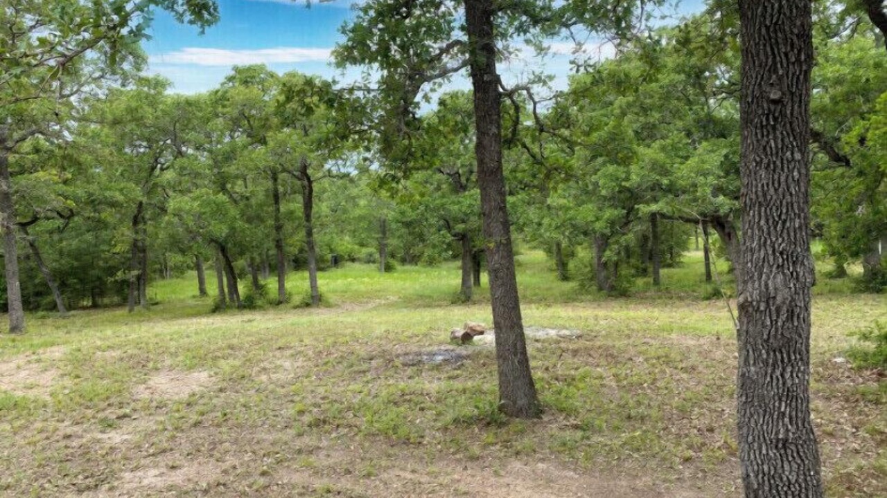 Photo of Outdoor in Ledbetter