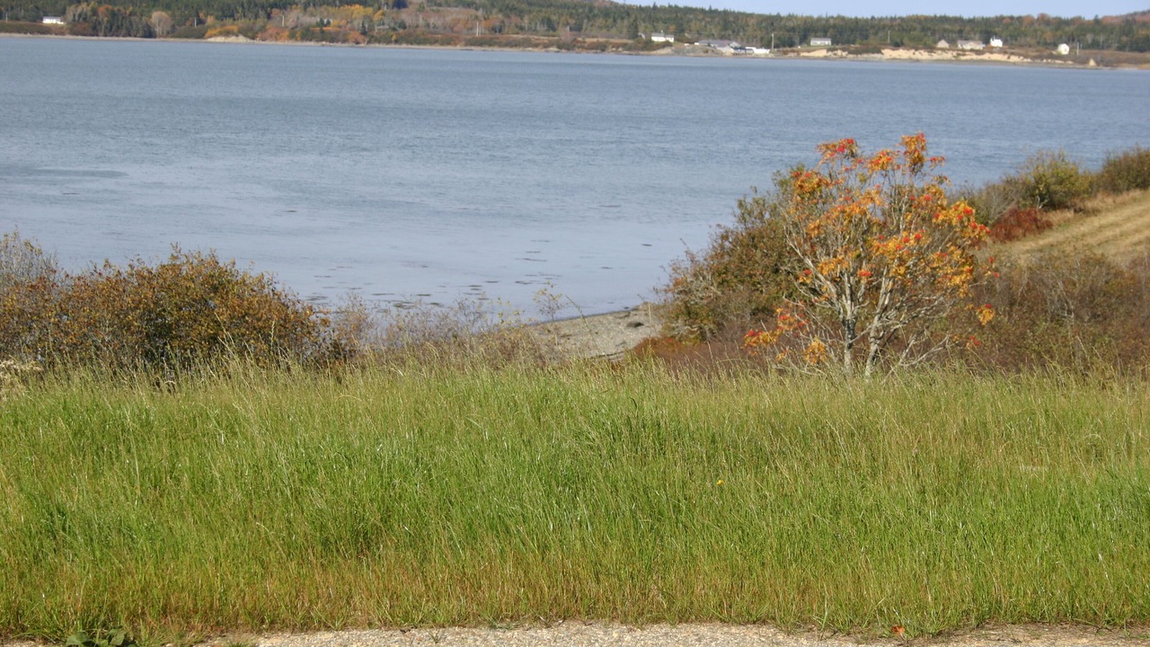 Photo of Others in Cutler