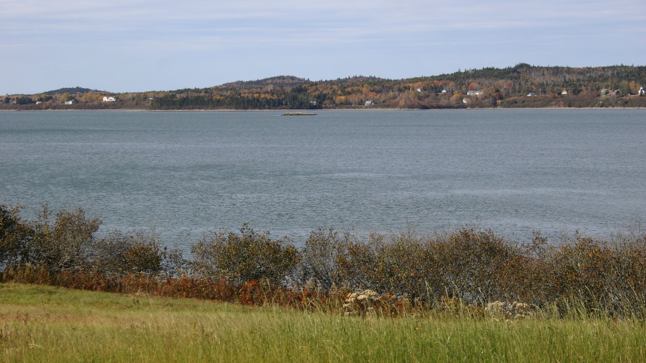 Photo of Others in Cutler