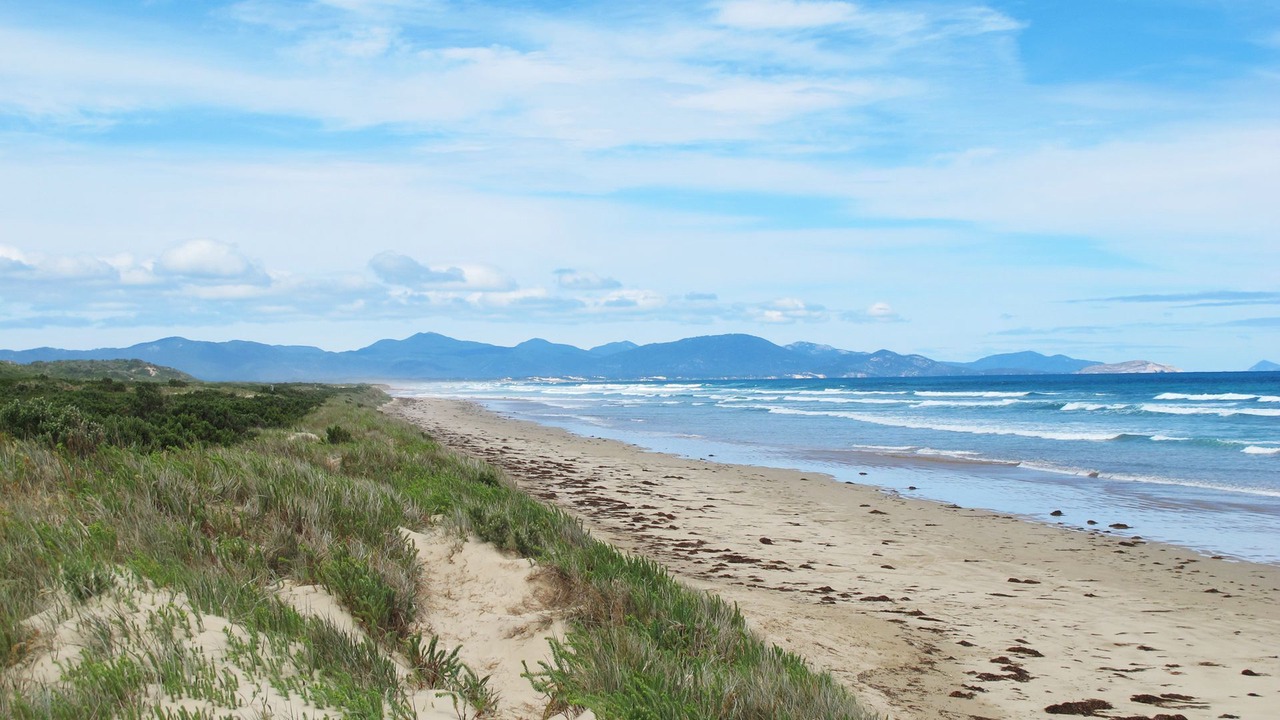 Photo of Others in Sandy Point