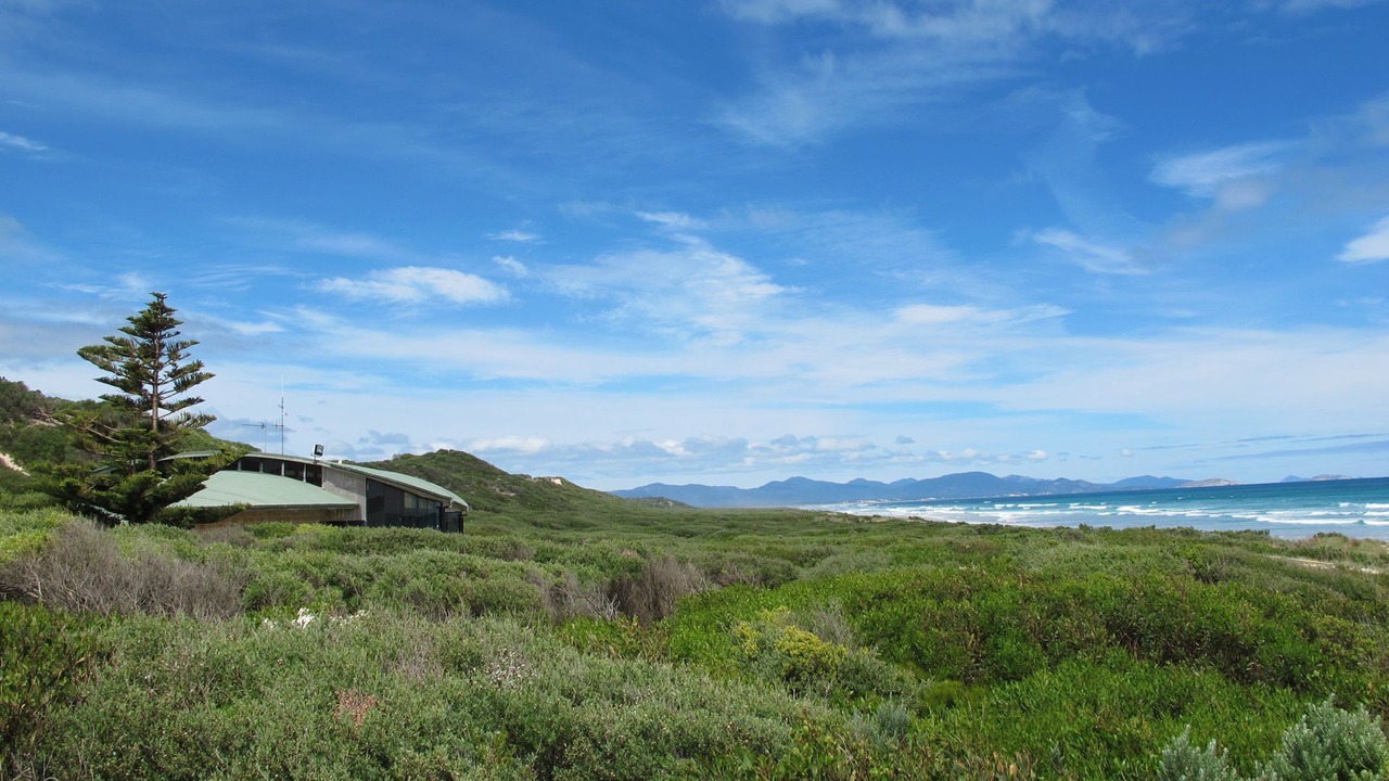 Photo of Others in Sandy Point