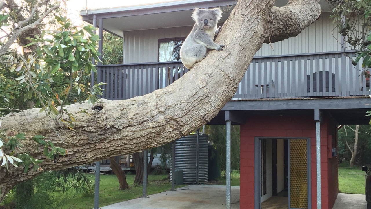 Photo of Outdoor in Sandy Point