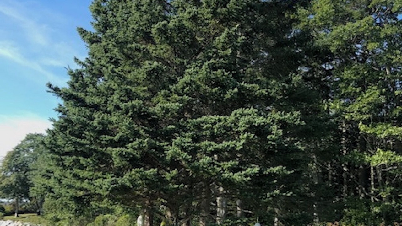 Photo of Others in Pleasant Point