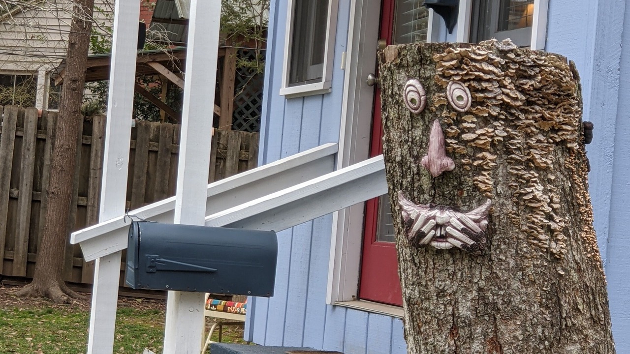 Photo of Outdoor in Brevard