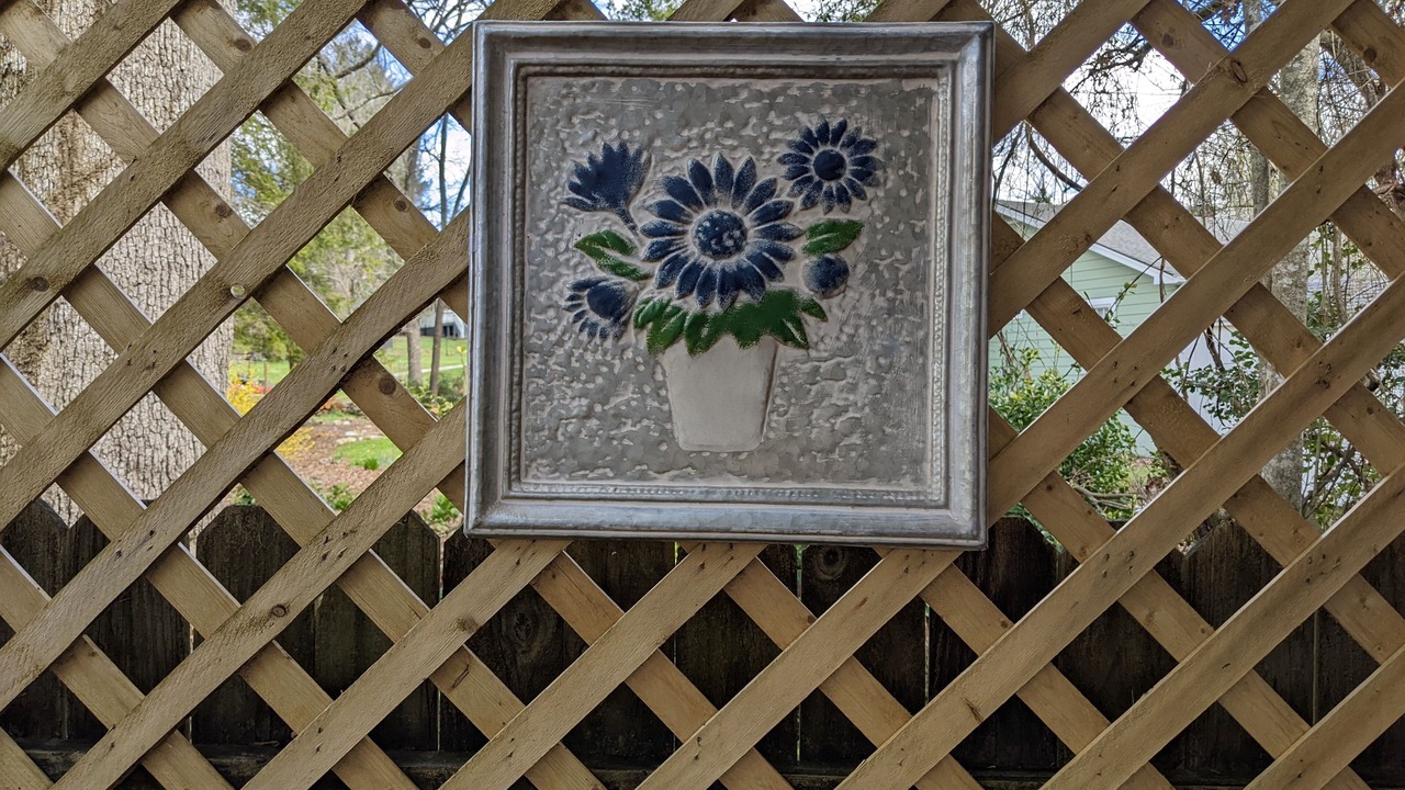 Photo of Outdoor in Brevard