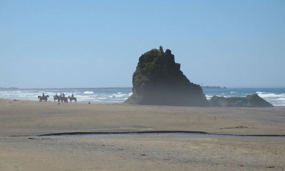 Photo of Others in Manchester