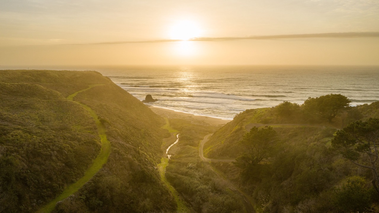 Photo of Others in Manchester