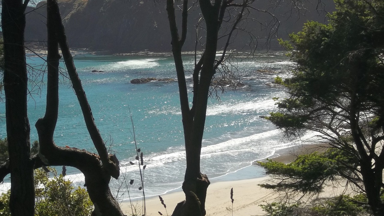 Photo of Others in Manchester