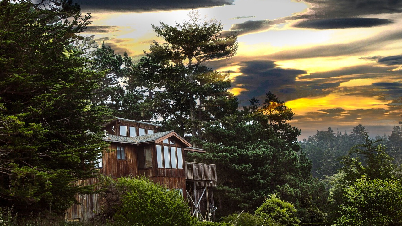 Photo of Others in Manchester