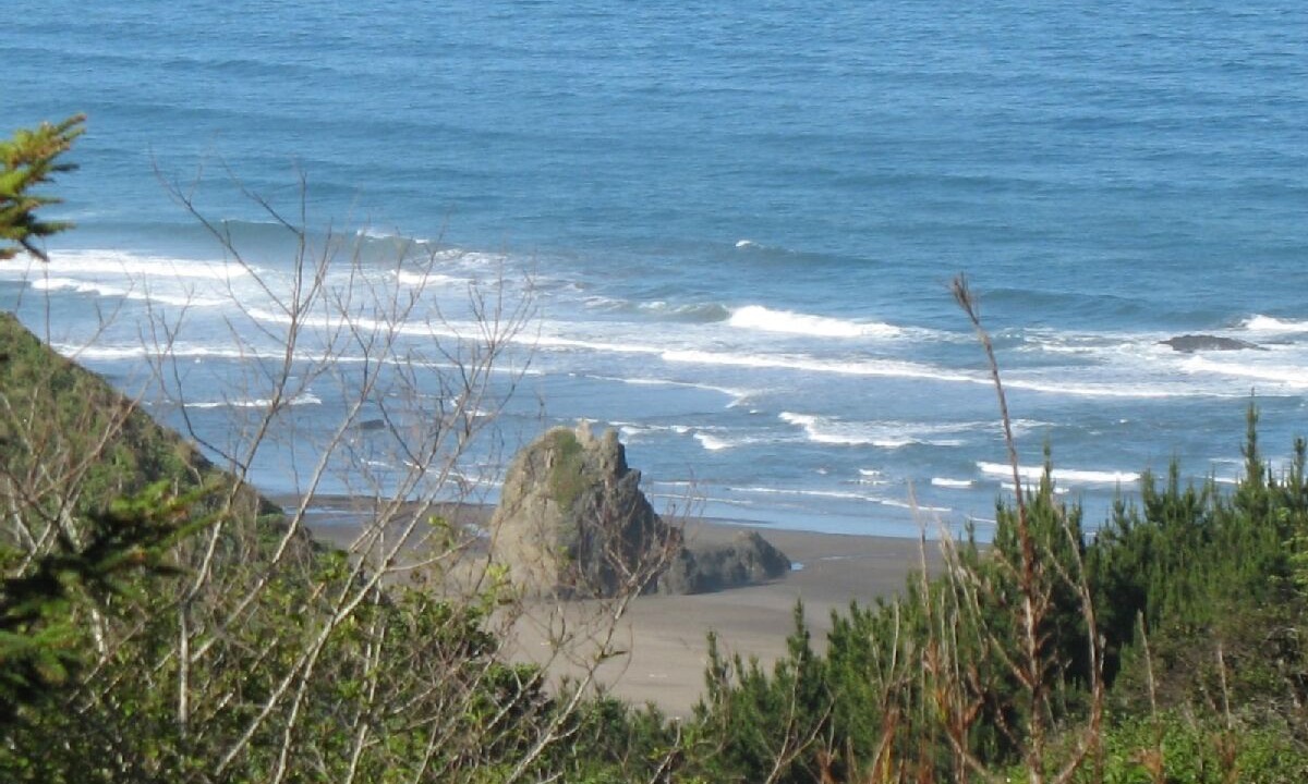 Photo of Others in Manchester