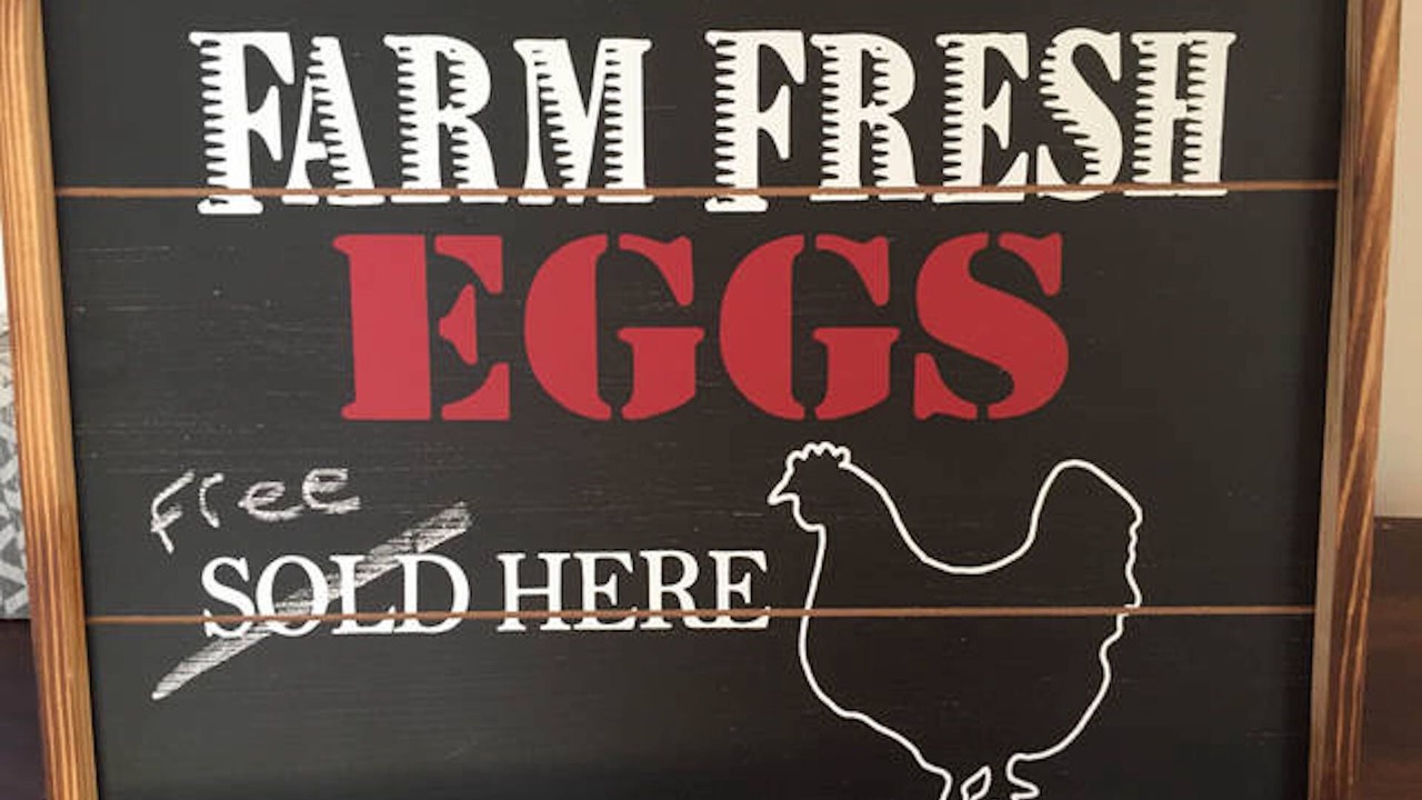 Photo of Others in Rye