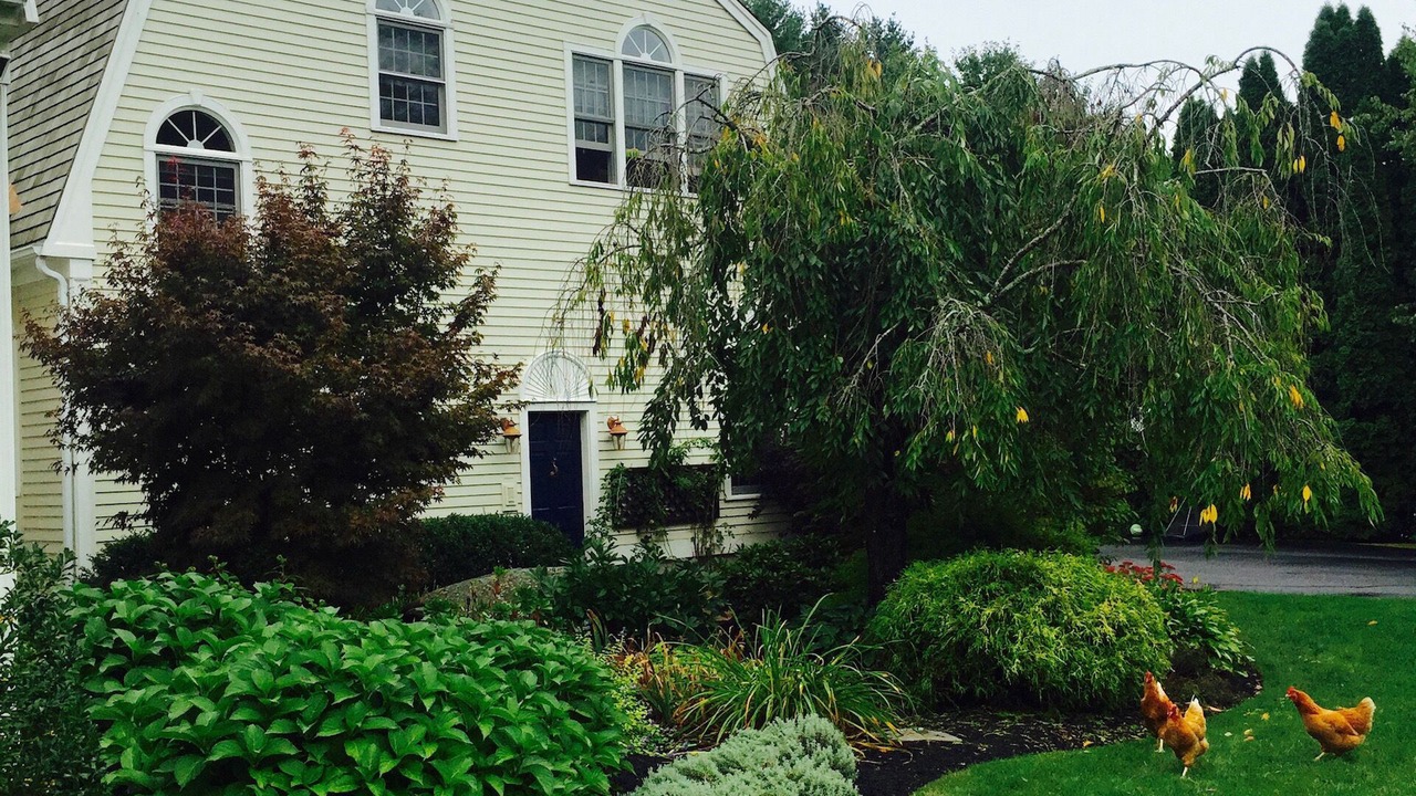 Photo of Others in Rye