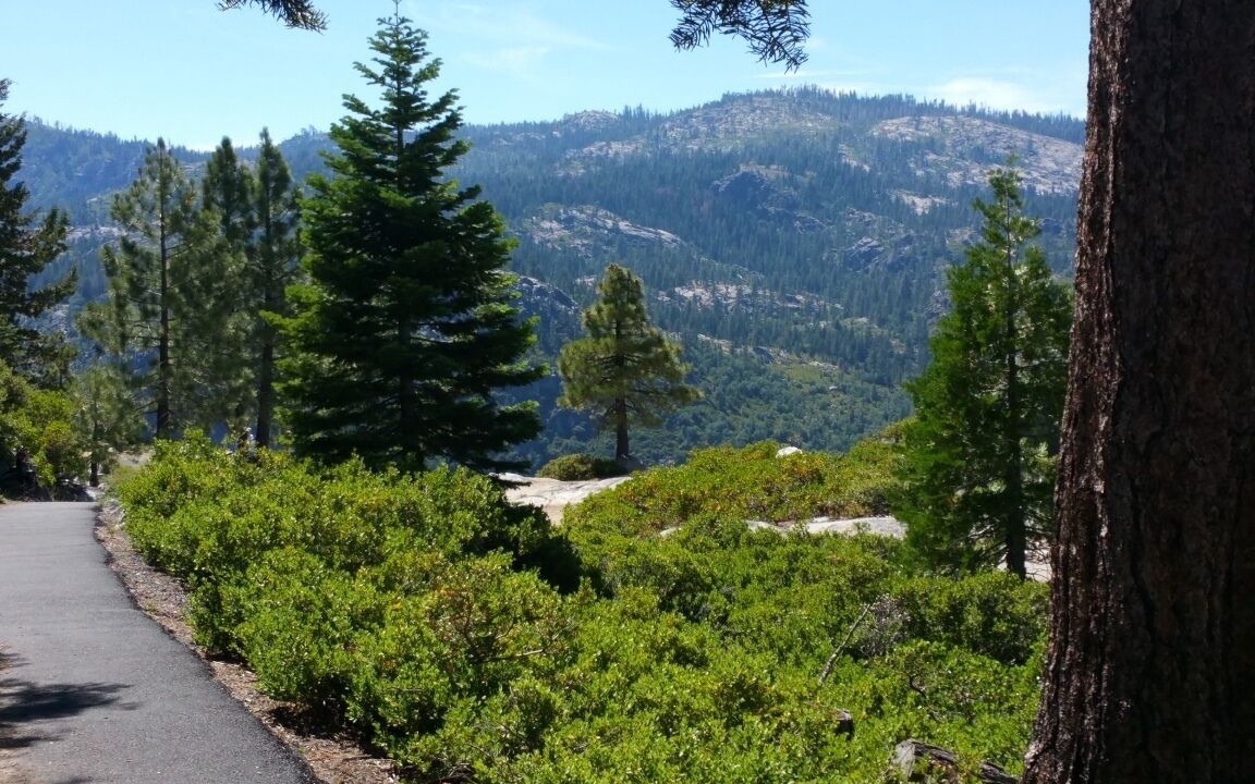 Photo of Outdoor in Strawberry