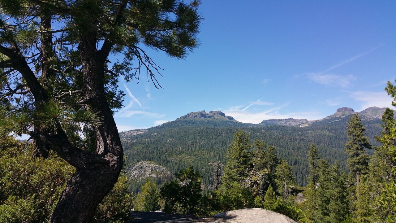 Photo of Outdoor in Strawberry