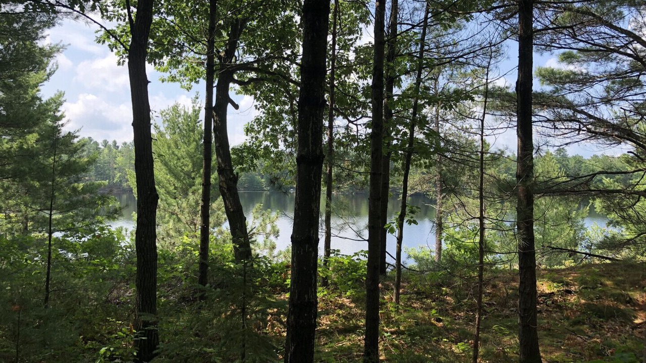 Photo of Outdoor in Gravenhurst