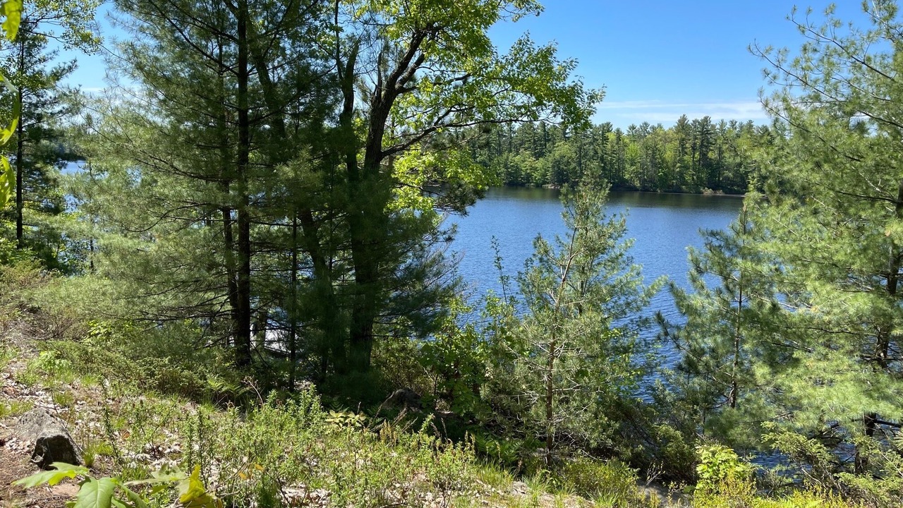 Photo of Outdoor in Gravenhurst