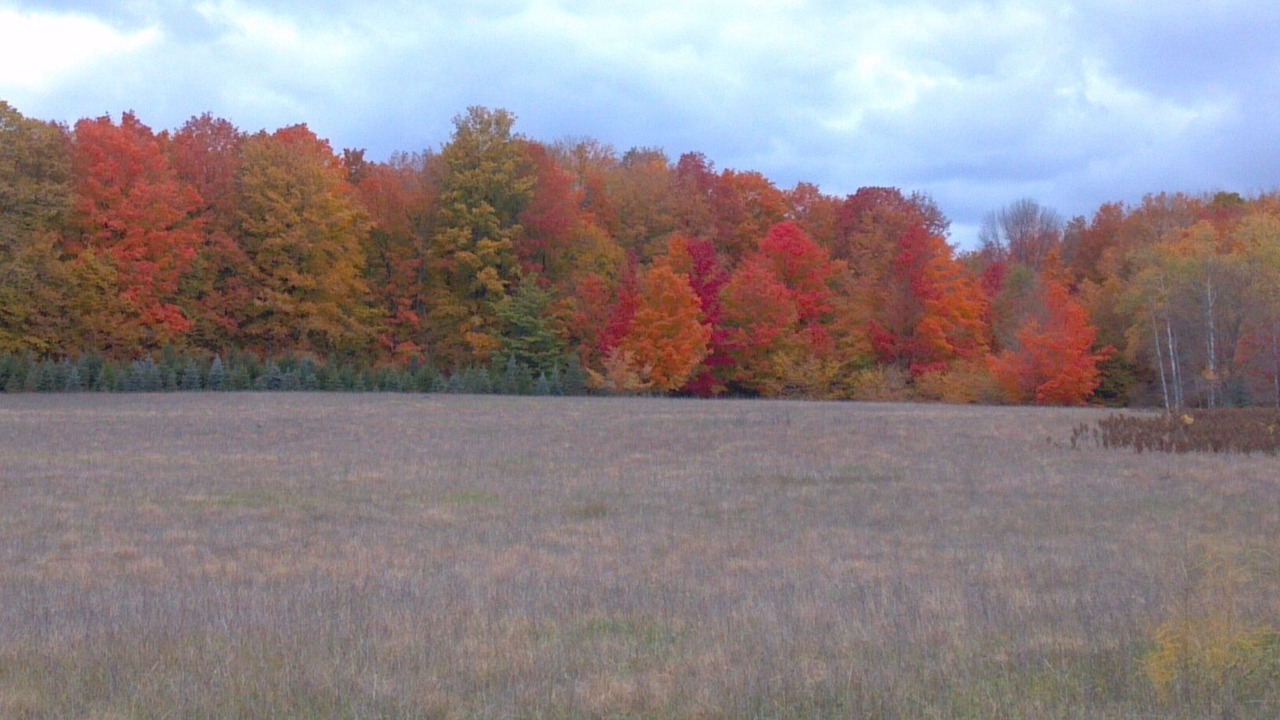 Photo of Others in Thompsonville