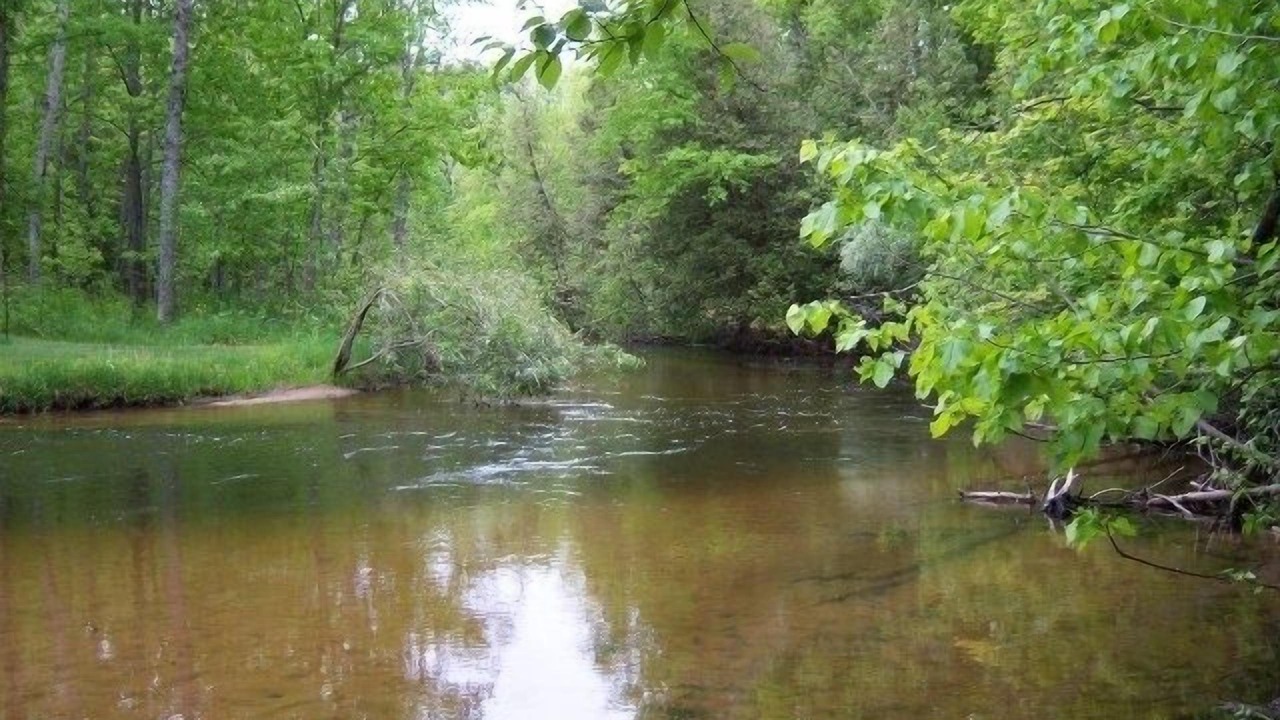 Photo of Others in Thompsonville