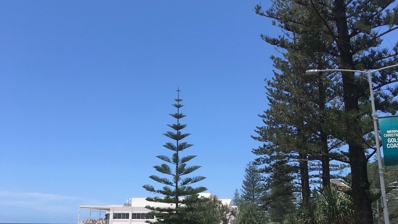 Photo of Others in Burleigh Heads