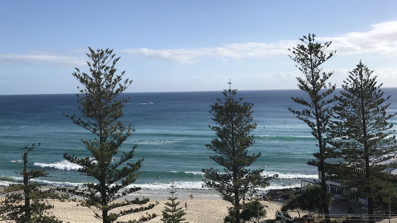 Photo of Others in Burleigh Heads