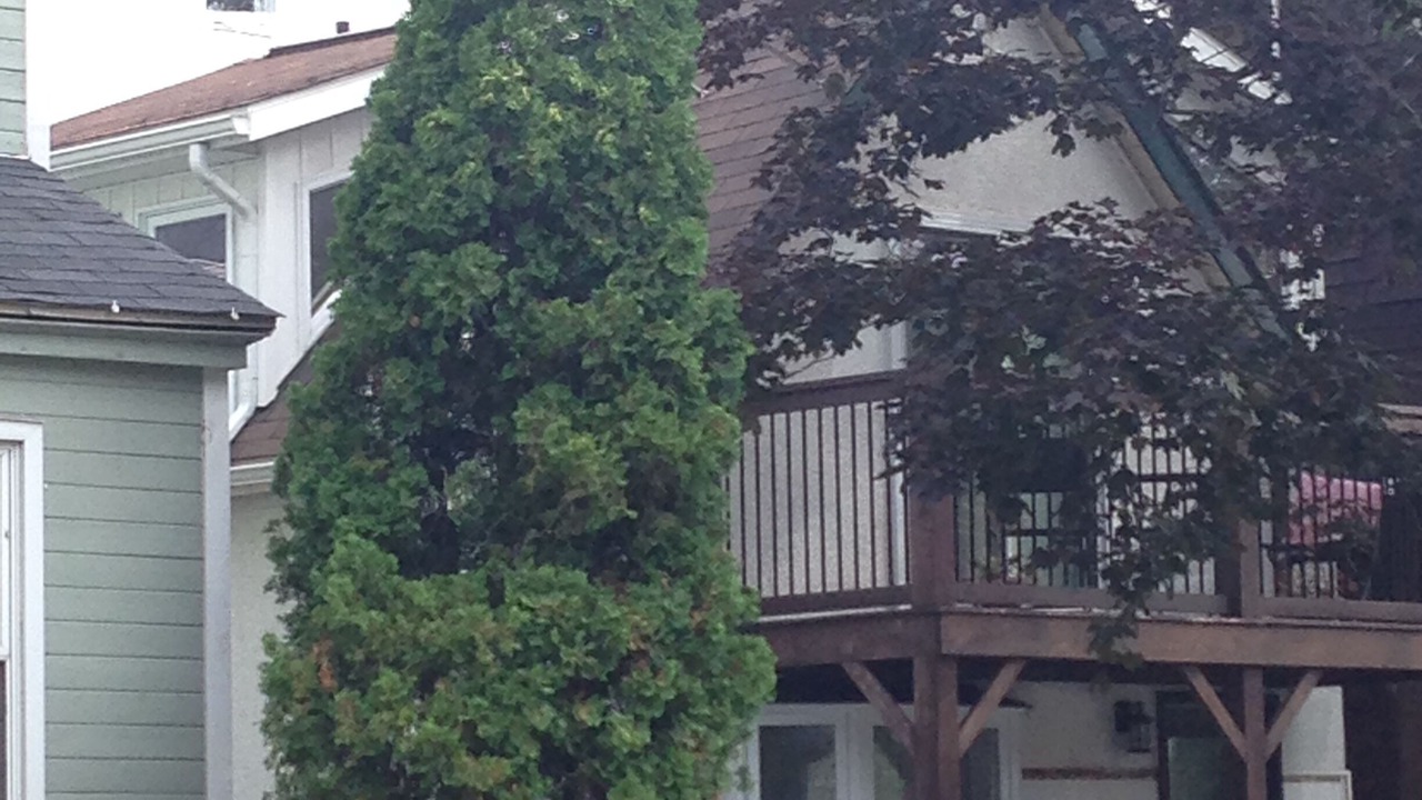 Photo of Others in Centretown