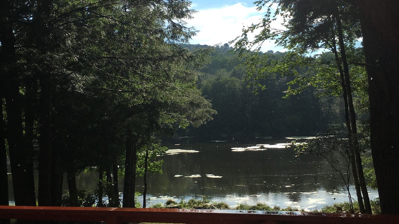 Photo of Others in Smallwood