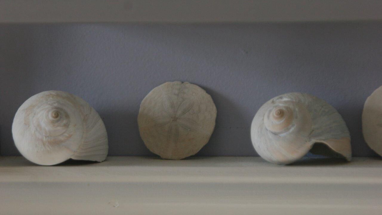 Photo of Others in Kennebunkport