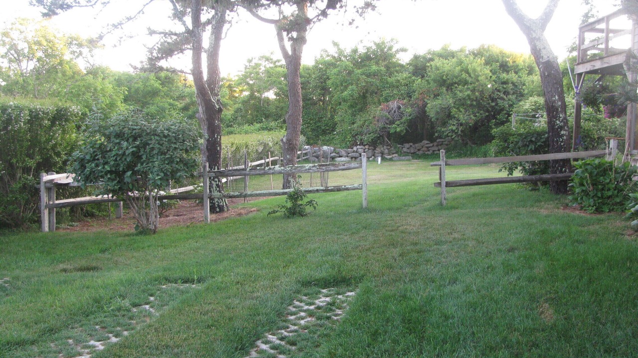 Photo of Others in Chilmark