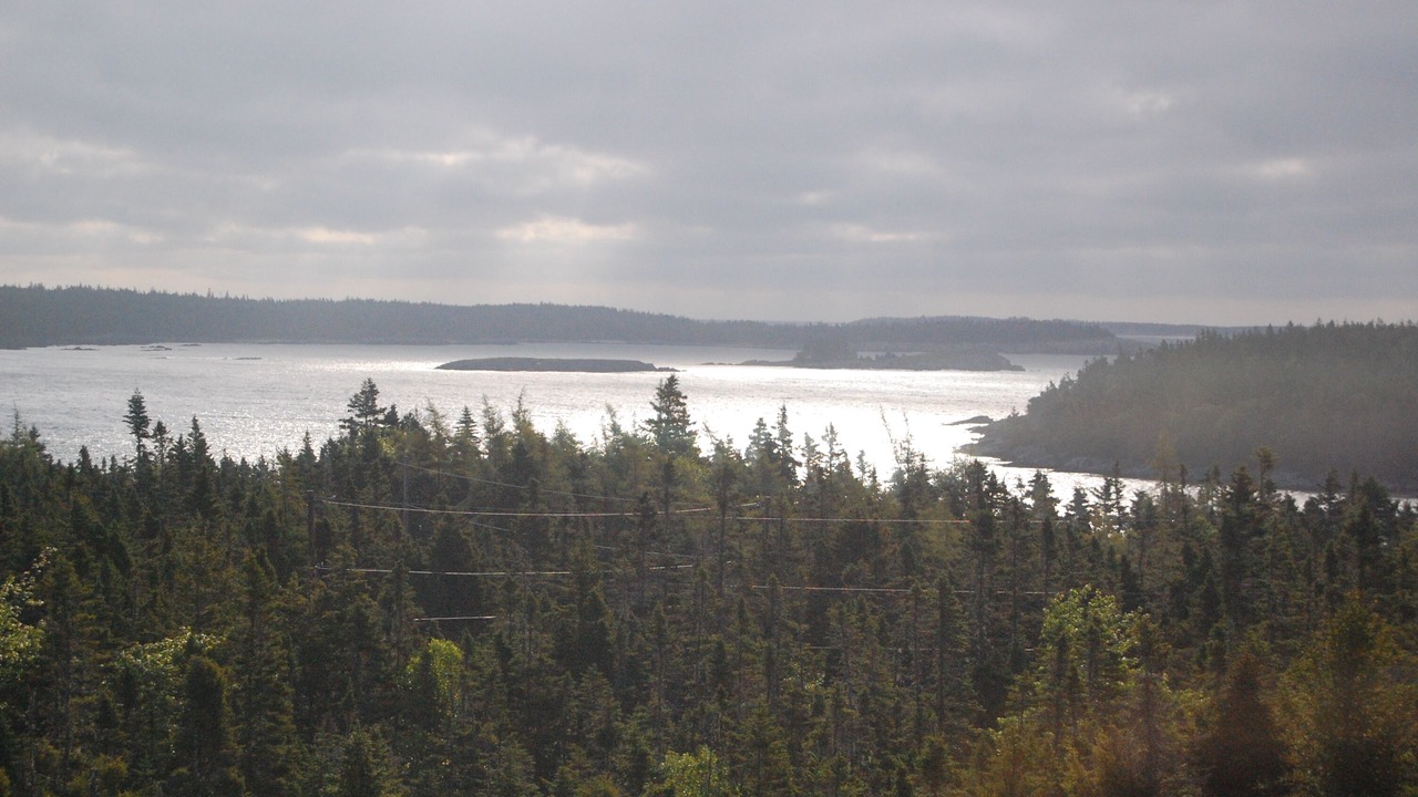 Photo of Others in LaHave