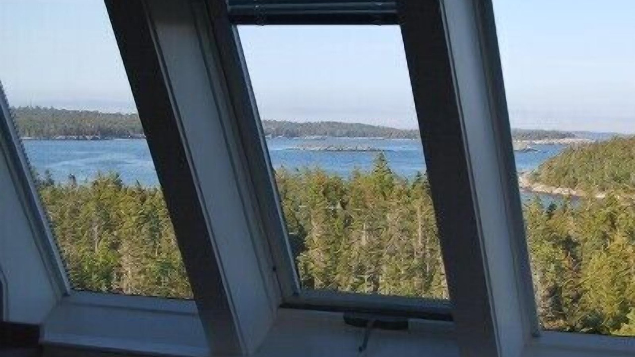 Photo of Others in LaHave