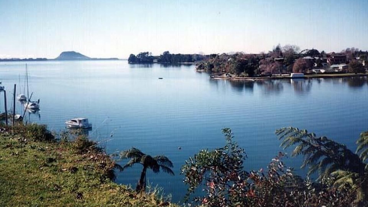 Photo of Others in Whakamarama