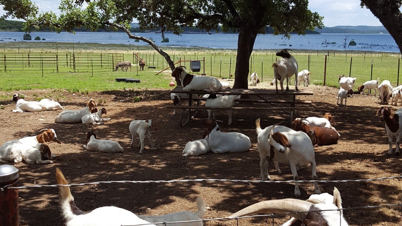 Photo of Others in Canyon Lake